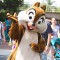Higher Prices at the Happiest Place, Brave, Cars Monorails, DCA previews +MORE! 3429IMG_0158