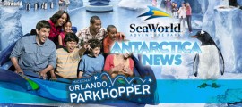 SeaWorld Orlando Thaws Some Information On Upcoming Antarctica Expansion frontpagepicSWO