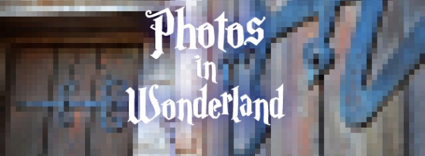 piwbanner