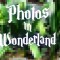Photos in Wonderland: Disneyland Resort Color Spotlight – Green piwgreen
