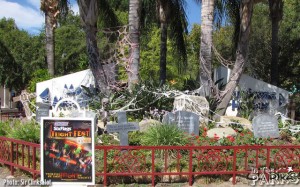 Fright Fest Entry