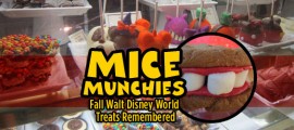 The Best of Walt Disney World Fall Treats frontpagepicMM