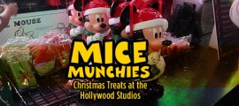 Christmas Treats at the Hollywood Studios frontpagepicMM