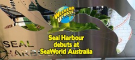 SeaWorld