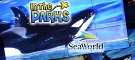 The SeaWorld San Diego Post-Holiday Round Up frontpagepic