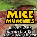 Hurricane Hanna Waterside Bar and Grill reopens at Walt Disney World Beach Club Resort frontpagepicMM