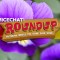 Disney News Round Up: Spring Fling 2012_roundup_main_header