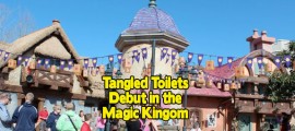 TangledToilets