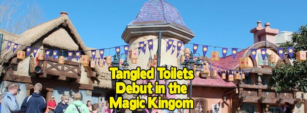 TangledToilets1-610x225.jpg