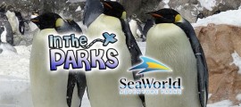 SeaWorld San Diego Approaches 50th Anniversary frontpagepic_ITP