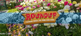 2012_roundup_main_header