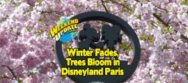 Long Winter Comes to an End, Trees Bloom at Disneyland Paris DLP-Paris-Spring