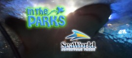 SeaWorld San Diego is Construction Central frontpagepic_ITP