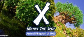 X Marks The Spot: Animal Kingdom 1999 Park Map pic