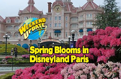 Spring Blooms at Disneyland Paris SpringBlooms