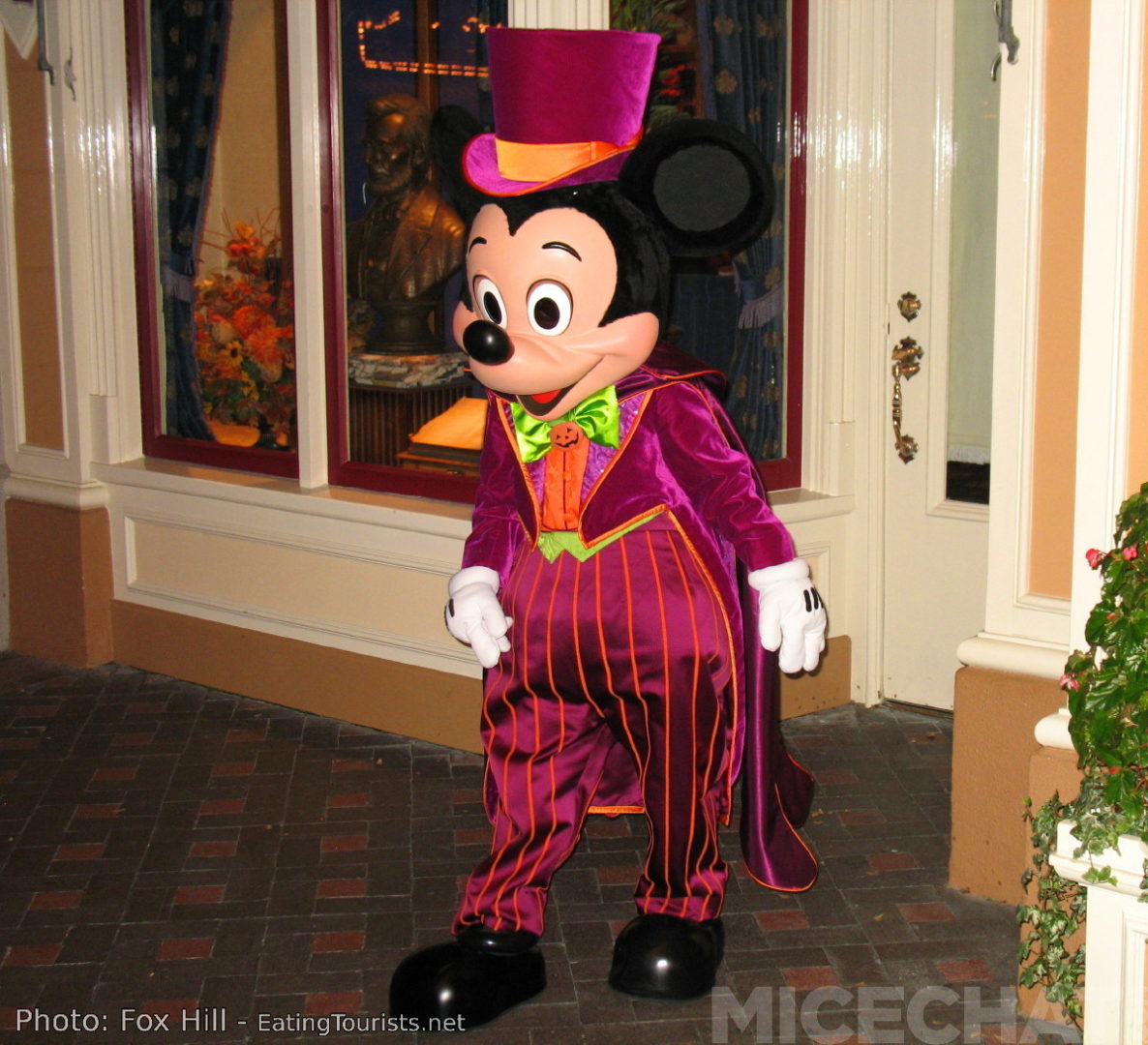 disney traditions mickey vampire