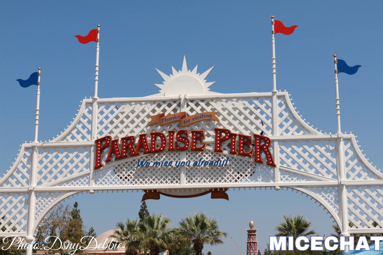 Paradise-Pier-Sign-Micechat.jpg