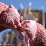 Disneyland Resort Update – Monorails, Festivals and Millennial Pink Ears Giveaway