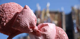 Disneyland Resort Update – Monorails, Festivals and Millennial Pink Ears Giveaway