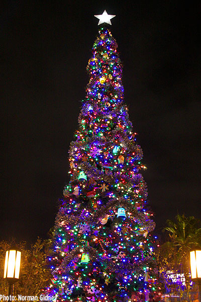 The Park In The Dark: The Disneyland Resort Christmas lights at Night