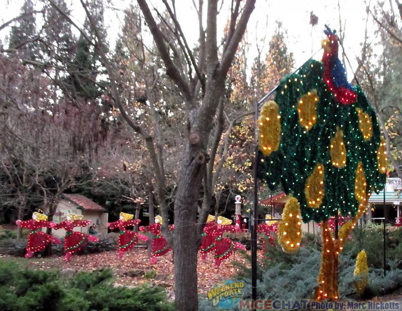 Holiday Lights Sparkle at Gilroy Gardens