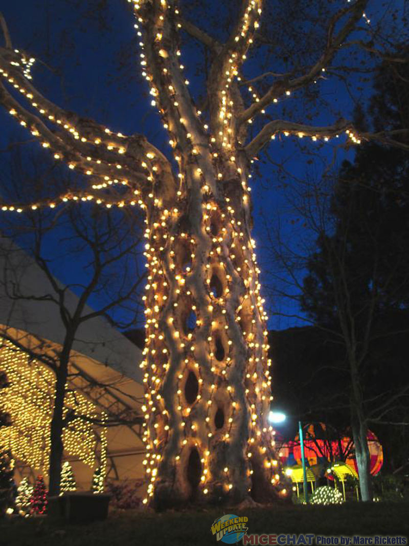 Holiday Lights Sparkle at Gilroy Gardens