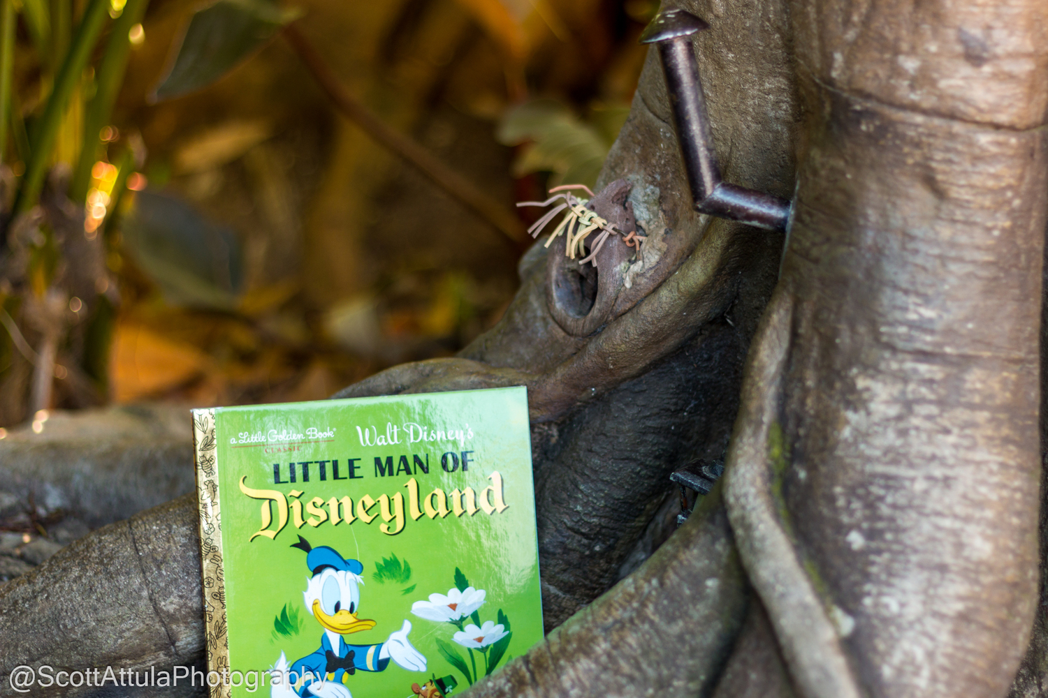 The Charming Story of the Little Man of Disneyland