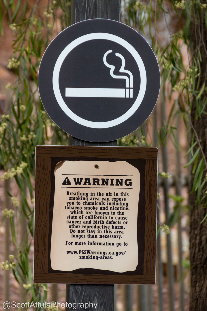 New Disneyland Rules Smoking Out and Smaller Strollers