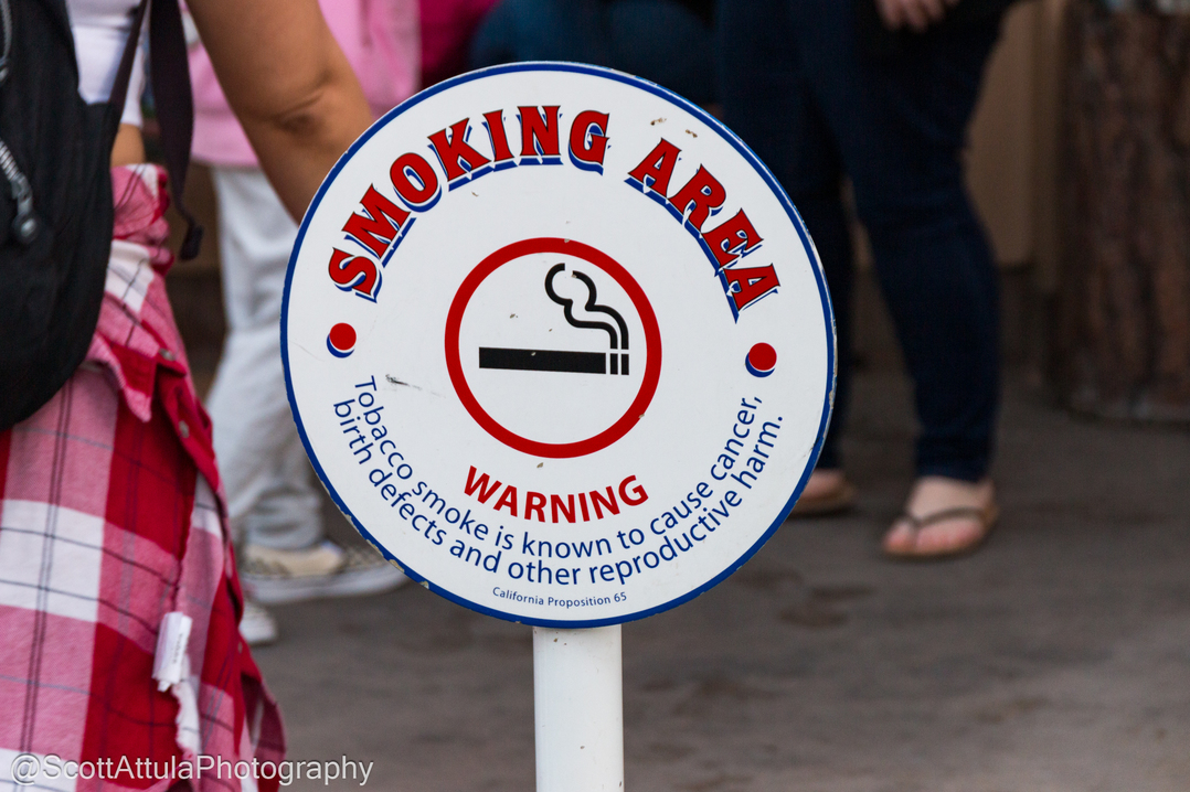 New Disneyland Rules Smoking Out and Smaller Strollers