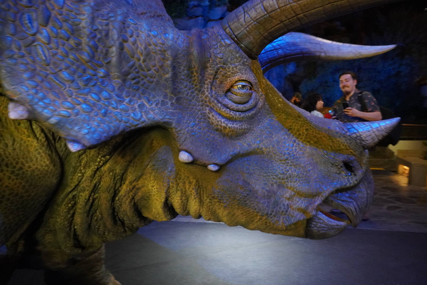 PHOTOS: Meet a Triceratops in Jurassic World at Universal Studios Hollywood  - WDW News Today