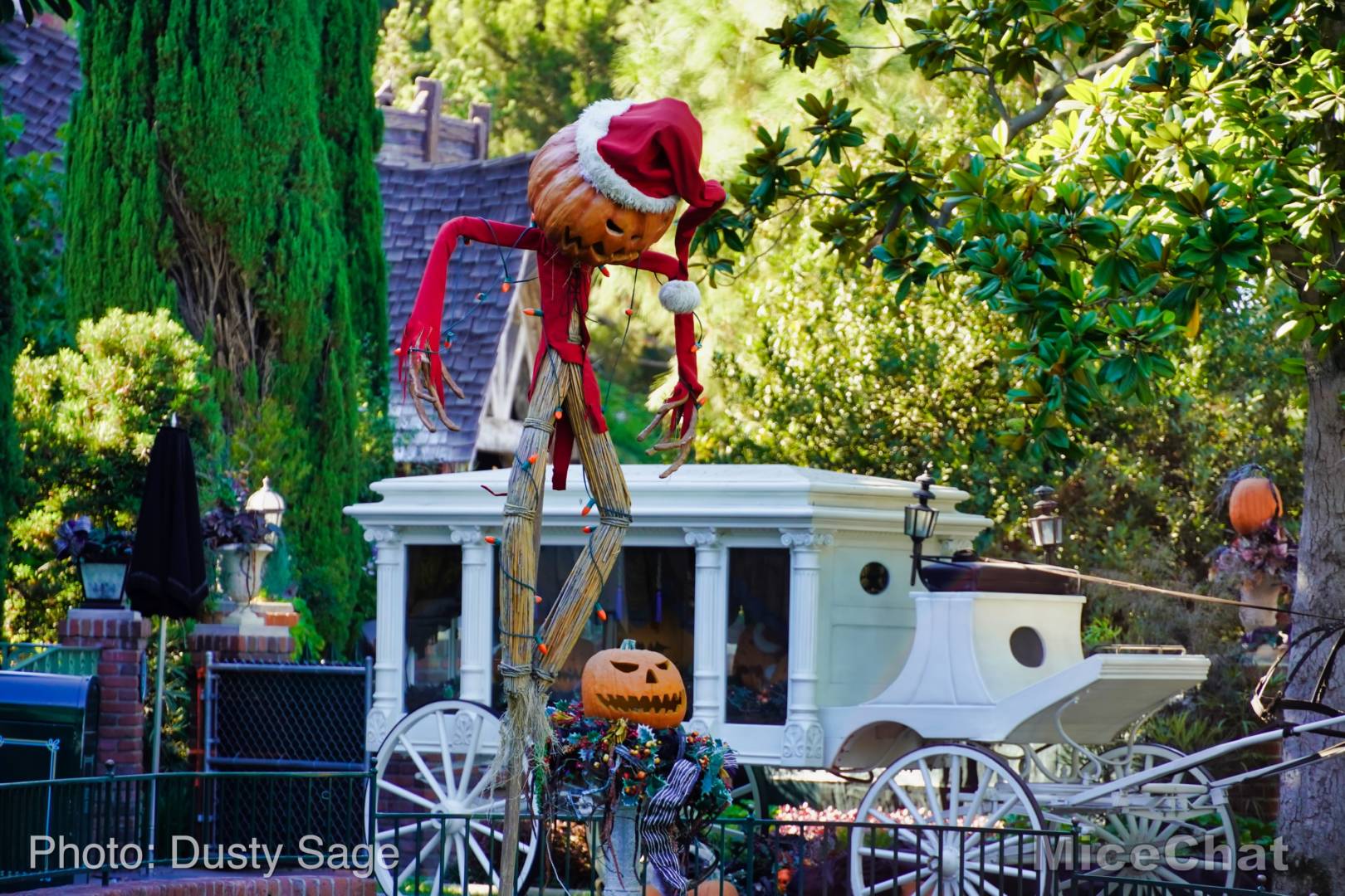 , Disneyland Update: Entertainment Trick & Halloween Treat