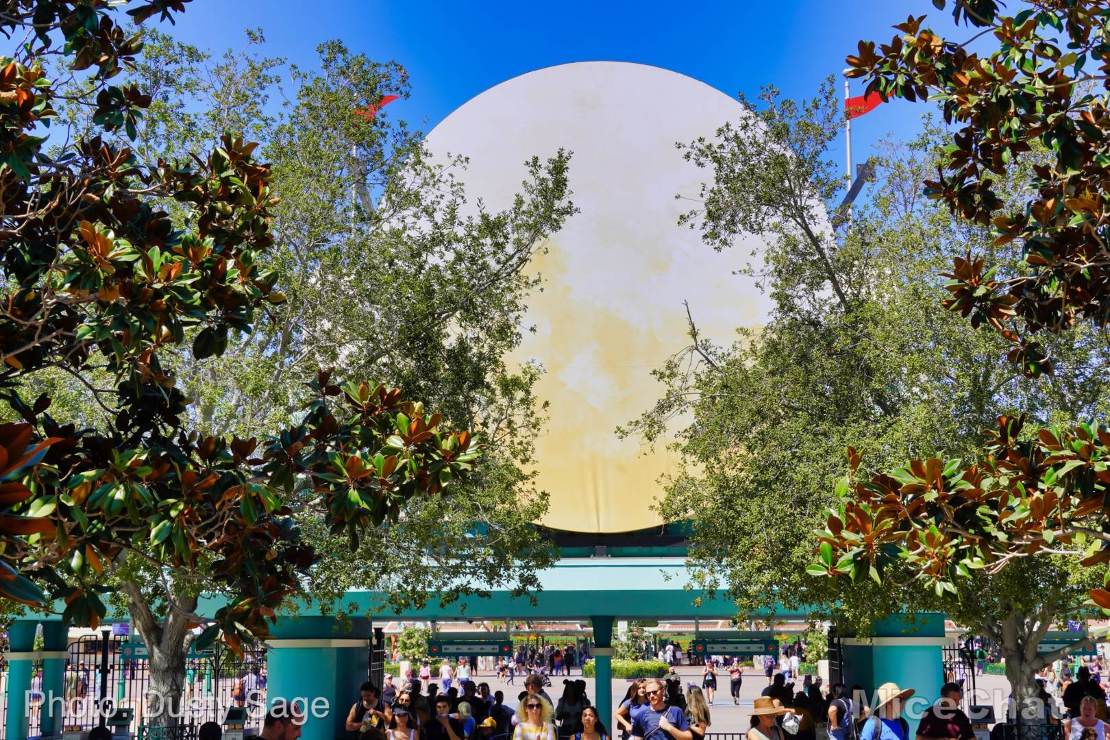 , Disneyland Update: Entertainment Trick & Halloween Treat