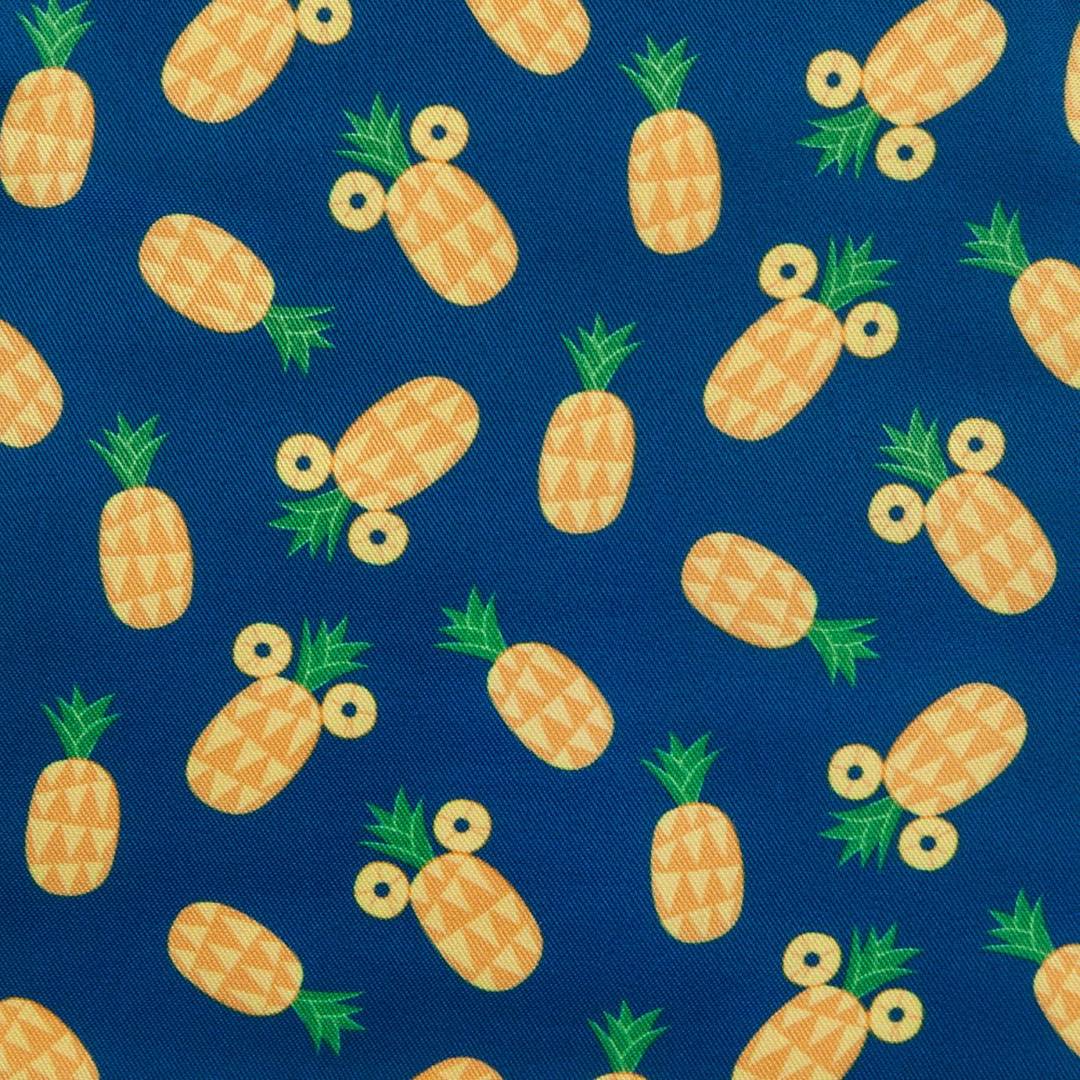 Mickey pineapple hot sale loungefly