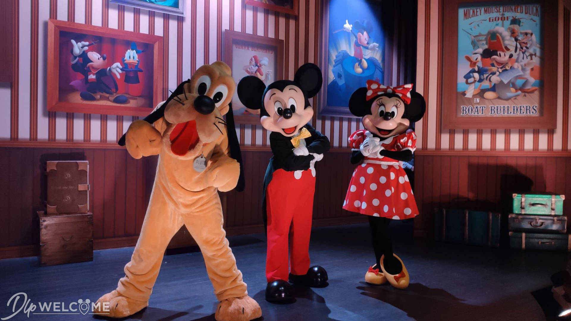 mickey minnie and pluto costumes