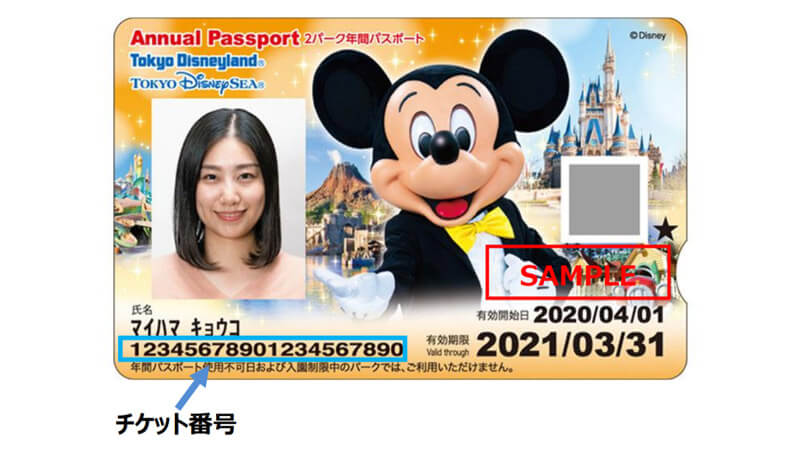 Tokyo Disneyland Annual Pass Program Ending - Could it