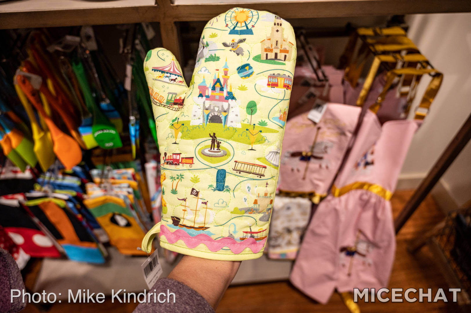 Disney Oven Mitt - Walt Disney World Map