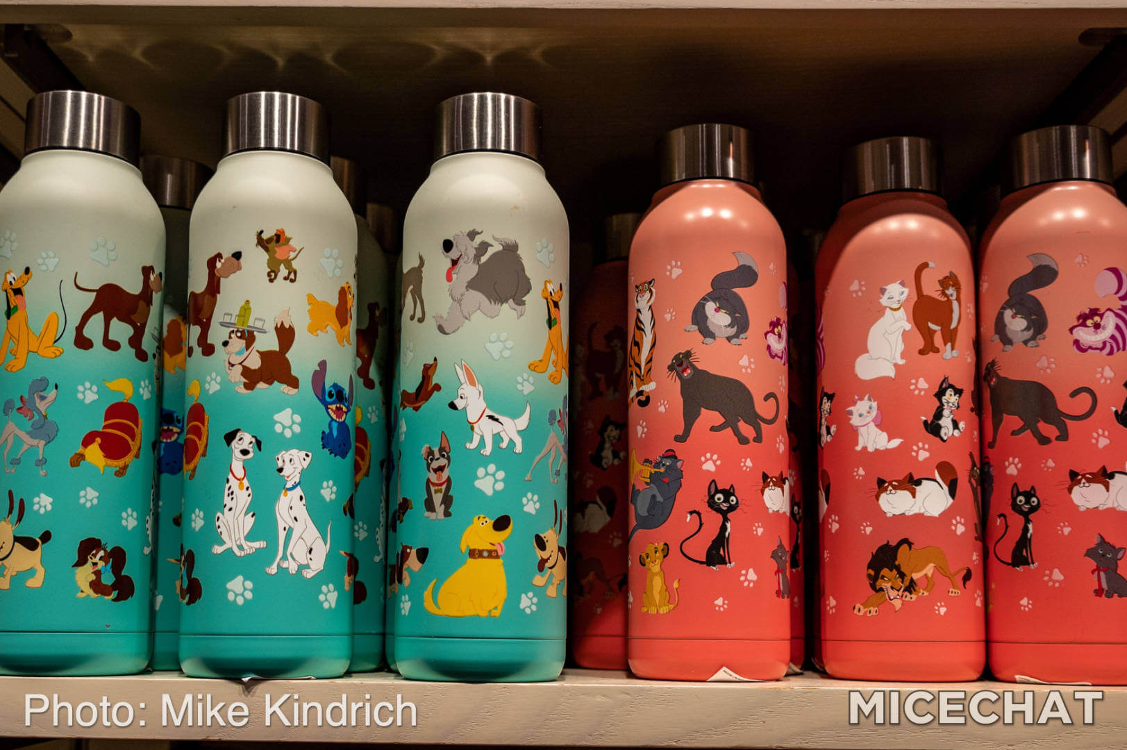 Disney Dogs Stainless Steel Water Bottle