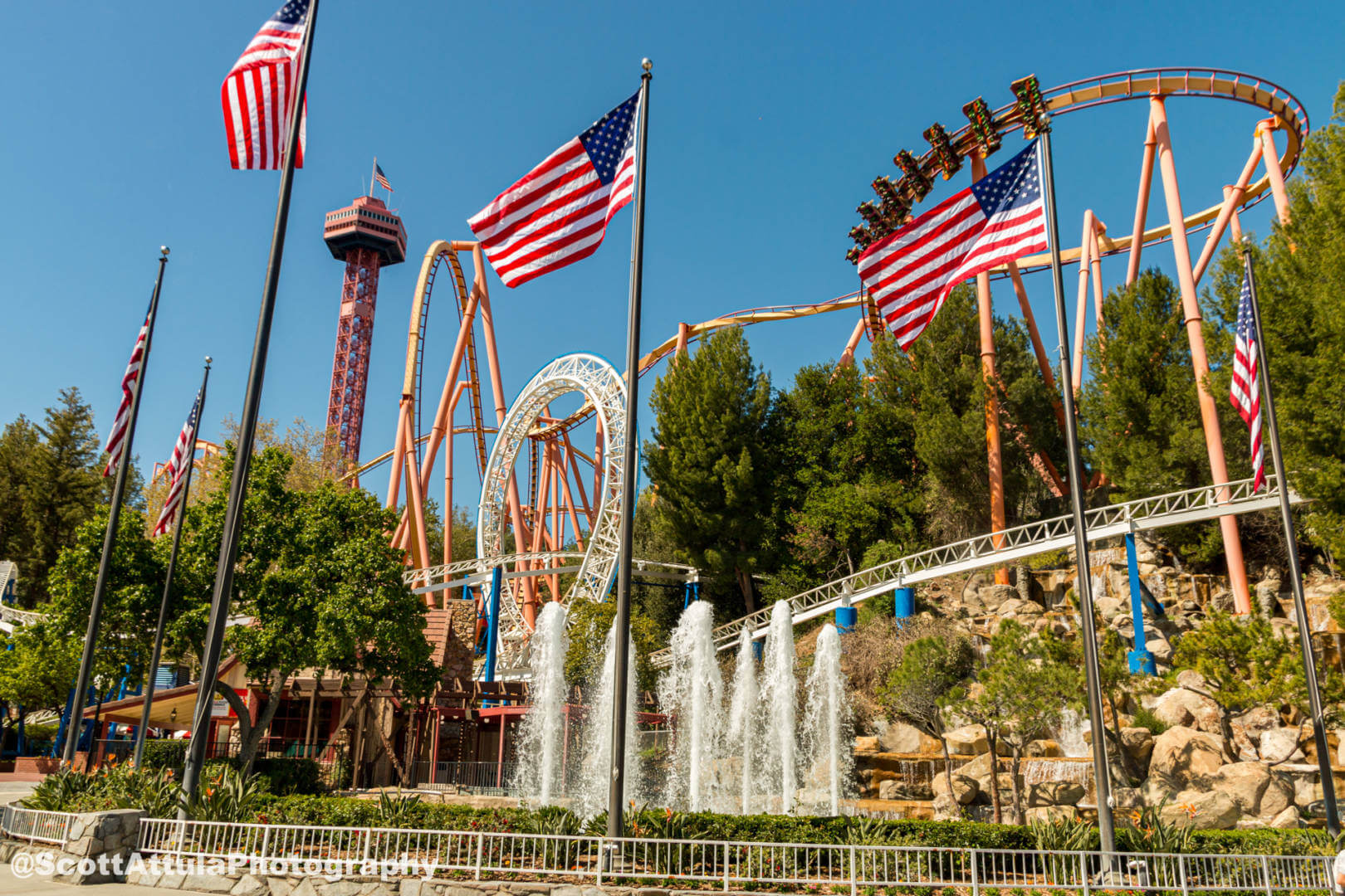 2022 Premium Dining Drink Cups. fresh from the park! : r/sixflags