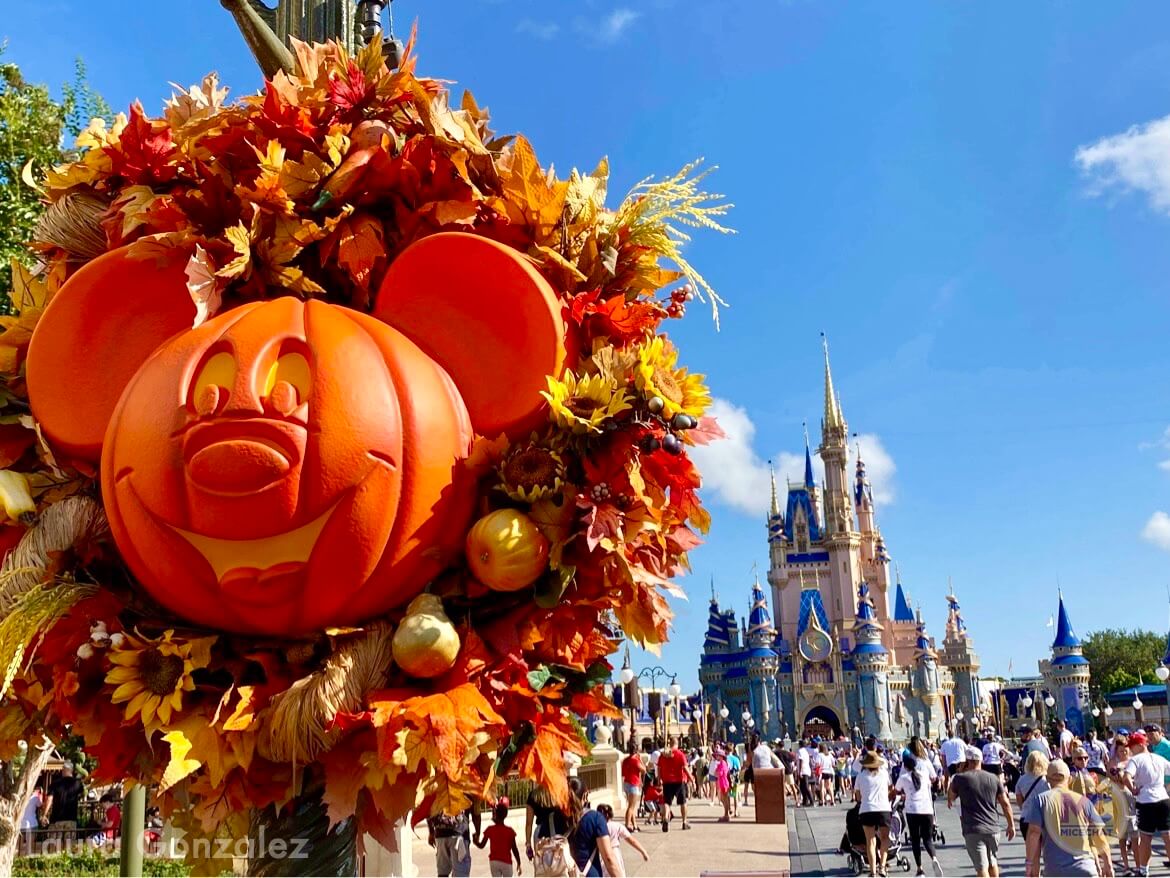 Walt Disney World Update: Magic, Starships, and Pumpkins