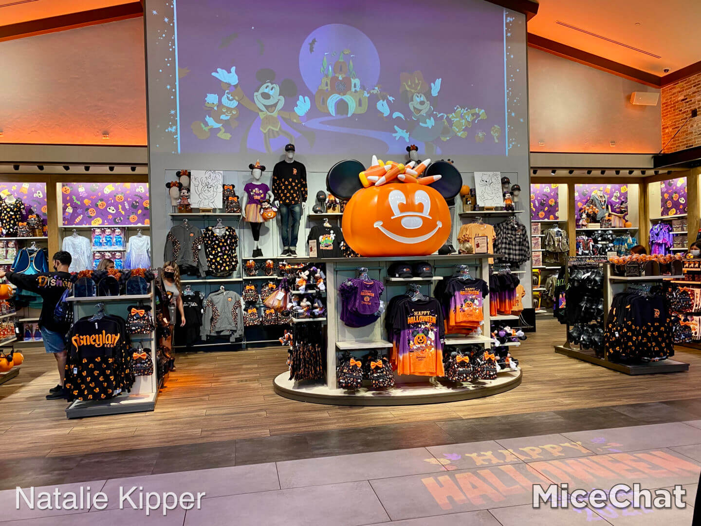 Disneyland Merchandise Update: Fall Down the Rabbit Hole