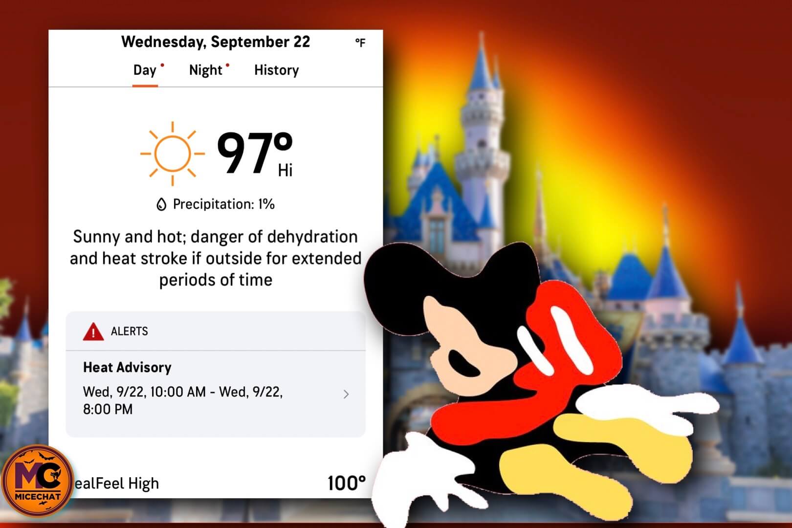 So this means I have a reservation, right? : r/Disneyland