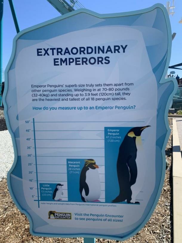 NEW COASTER: Emperor Dives into SeaWorld San Diego Starting March 12