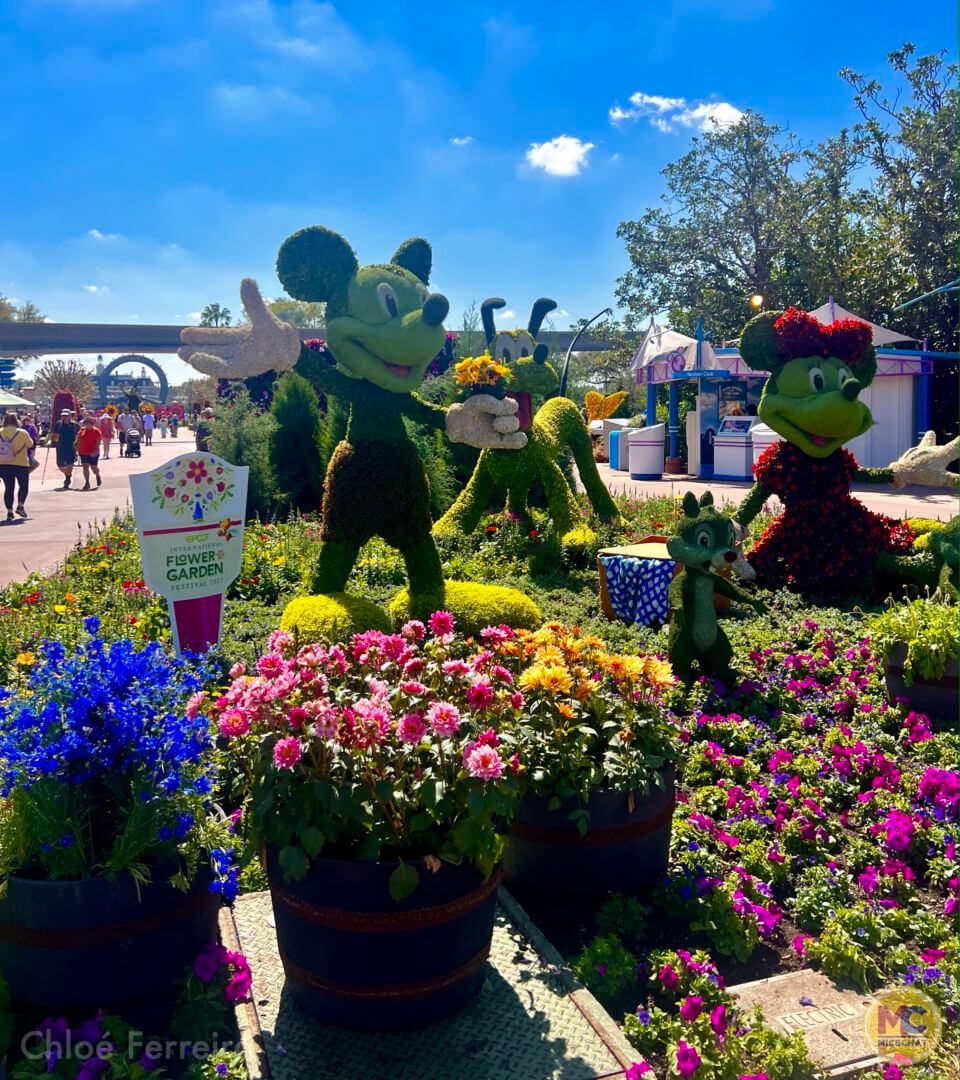 Disney Tervis Tumbler - Epcot Flower and Garden Festival 2022 Mickey's Garden