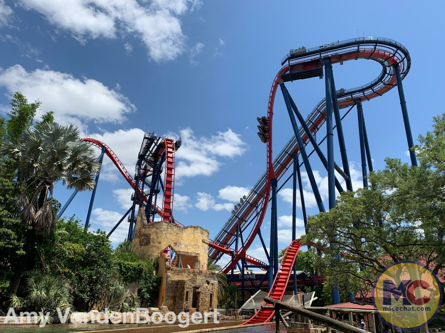 My Wild Adventure at Busch Gardens Tampa - Tripster Travel Guide