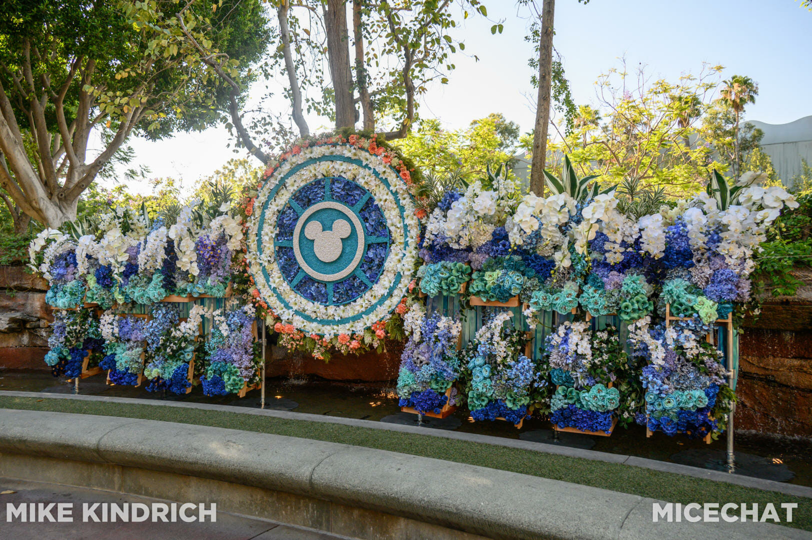 Encanto' Magic Blooms at Disneyland Park – NBC Los Angeles