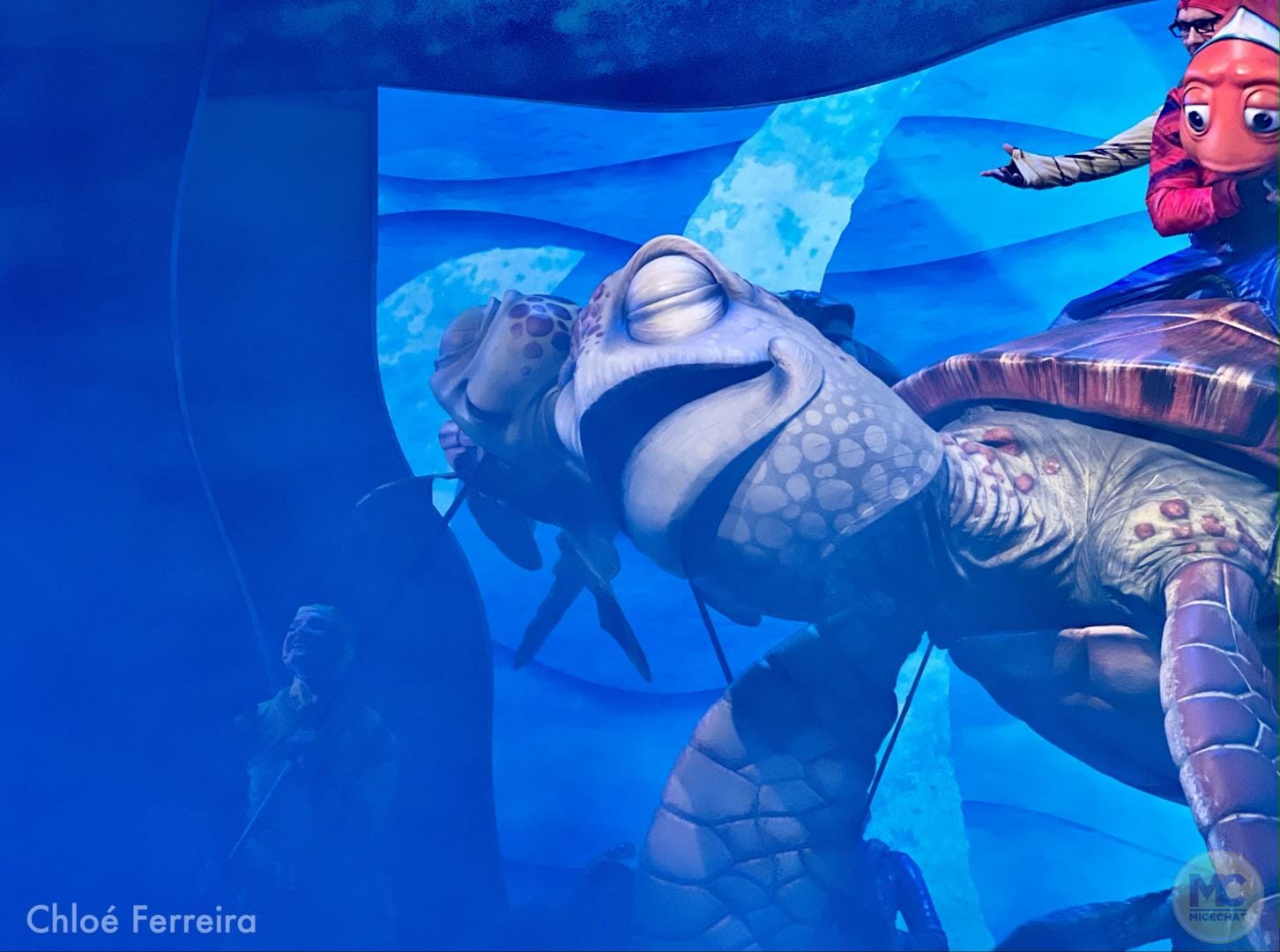 Finding Nemo Returns to Disney's Animal Kingdom in The Big Blue... and ...