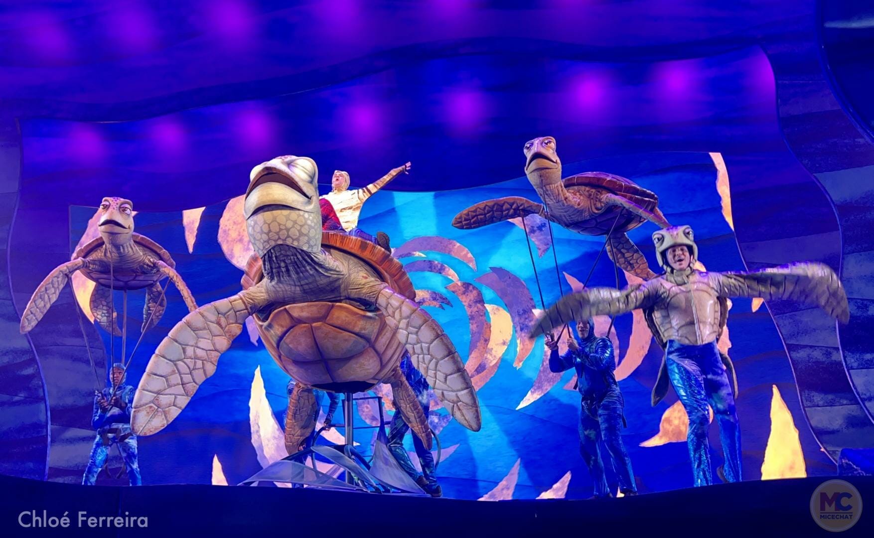 Finding Nemo Returns to Disney's Animal Kingdom in The Big Blue... and ...