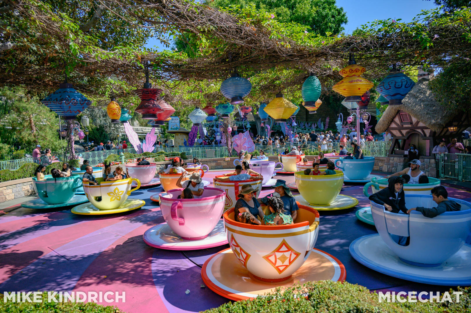 https://www.micechat.com/wp-content/uploads/2022/07/Disneyland_Fantasyland_Tea-Cups-6249.jpg