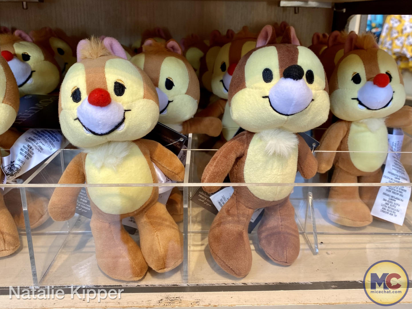 https://www.micechat.com/wp-content/uploads/2022/08/Downtown-disney-world-of-disney-nuimos-chip-and-dale.jpg