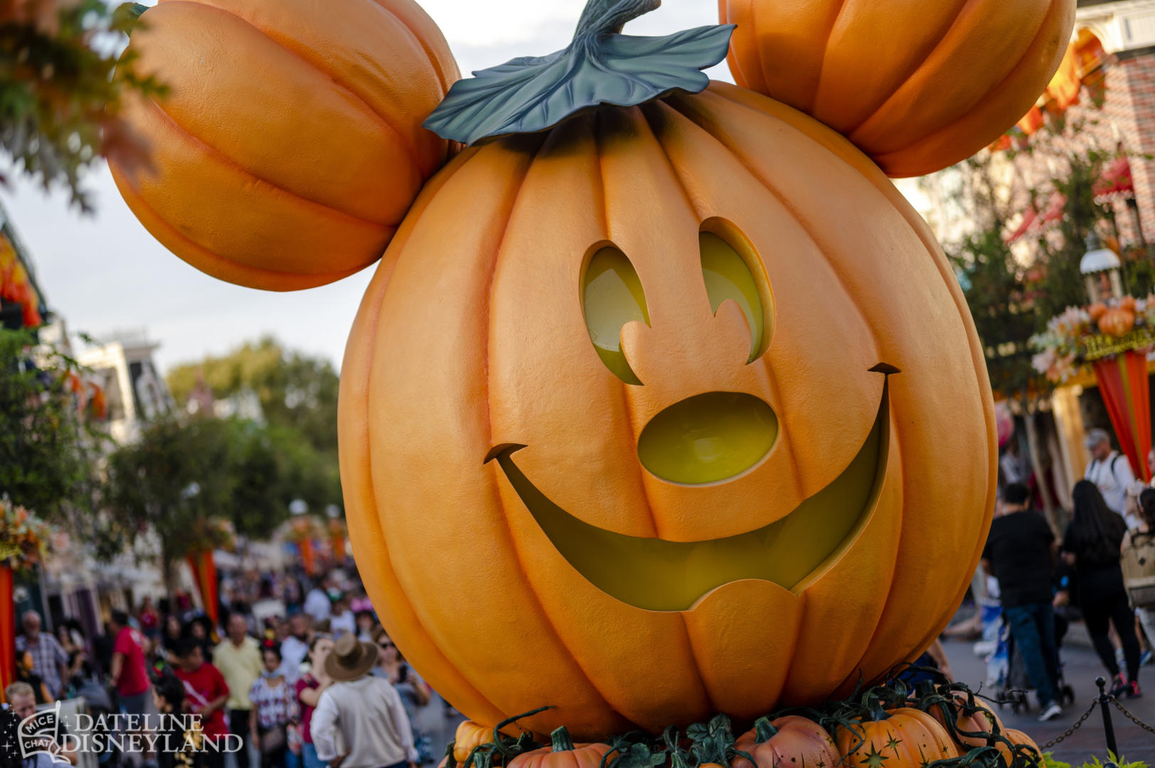 Duck Life - HAPPY HALLOWEEN! To celebrate this spookiest